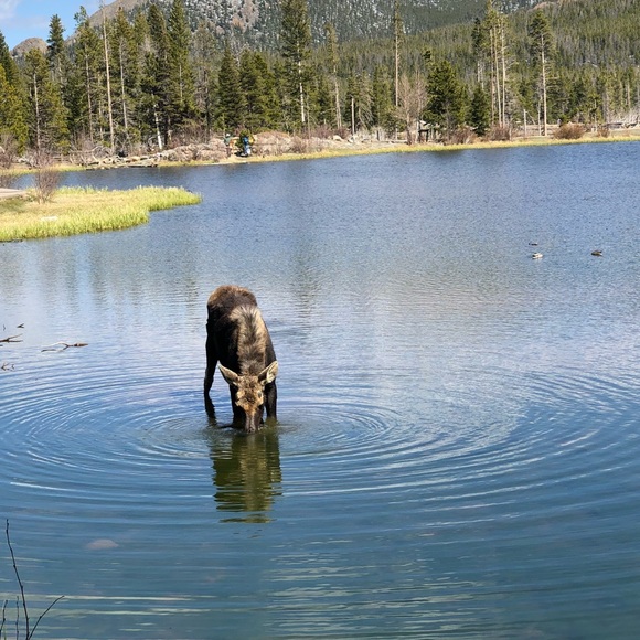 Meet your Posher, Terry - Picture 1 of 1